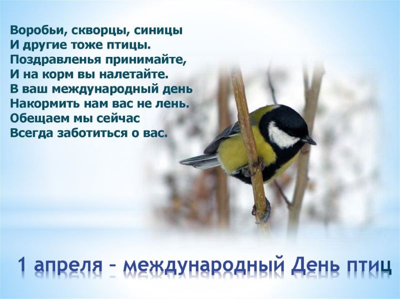 1 апреля на всей планете отмечают  «Международный день птиц».